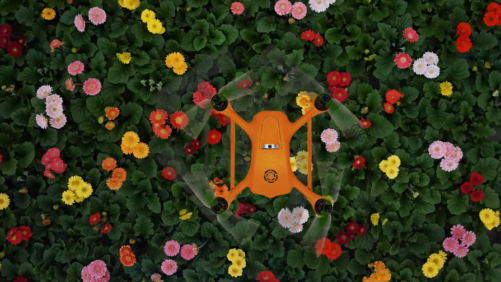 How Pollination Drones Are Emerging as Alternatives to Bees