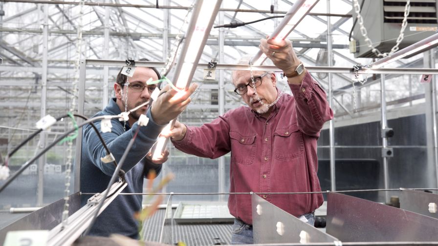 Erico Mattos and Marc van Iersel