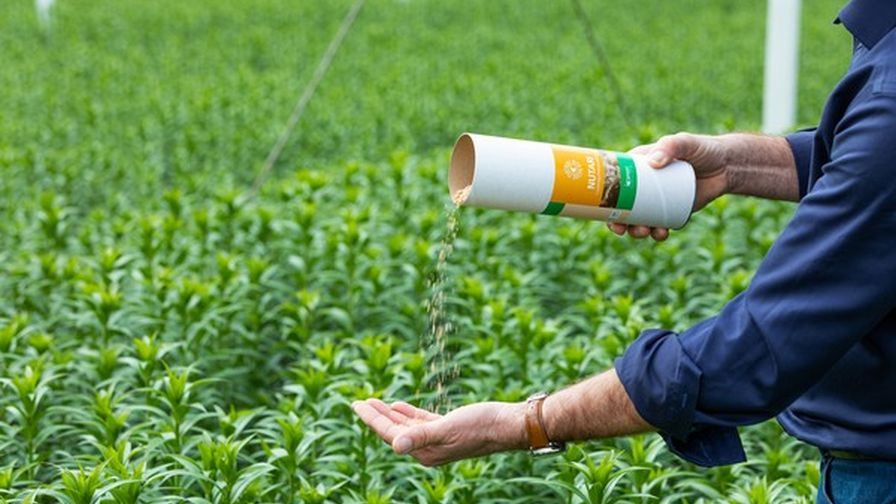 Koppert Supplemental Feeding of Predatory Mites