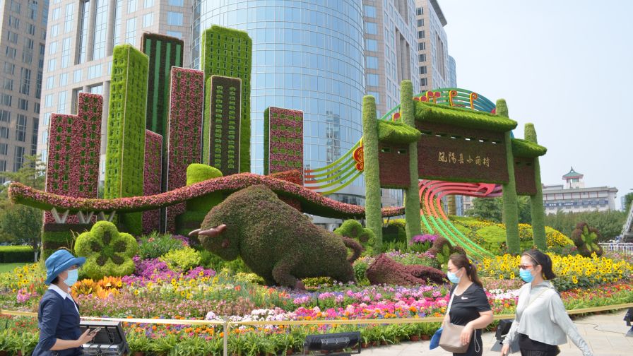 Terra Nova in Beijing
