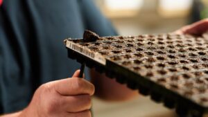 Growing Media Suppliers Offering Both Products and Resources