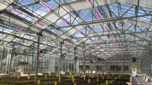 How Hort Americas Is Keeping Up With Change in the Controlled-Environment Industry
