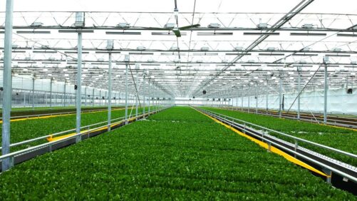 A Tech Revolution at Revolution Farms