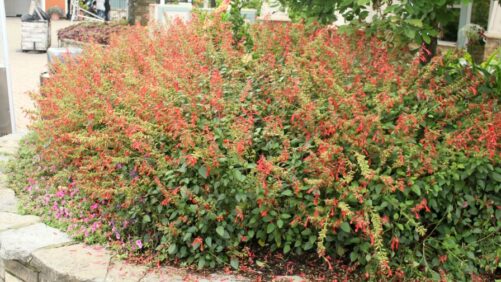 Changes Yield Positive Results at 2021 Cincinnati Zoo and Botanical Gardens Trials