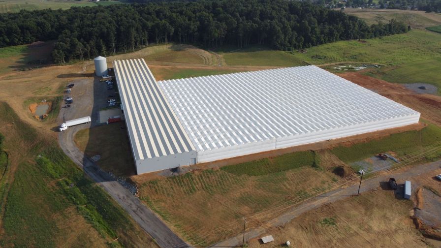 The Plant Company Greenhouse Web