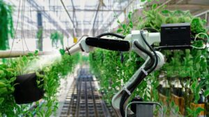 Why We Need the Greenhouse Technology Network