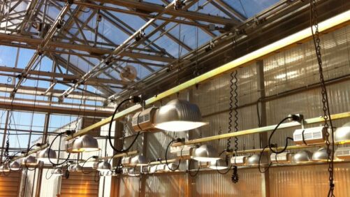 Follow These Innovative Pathways to Digital Horticulture