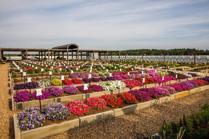 Young's Plant Farm Trial Garden