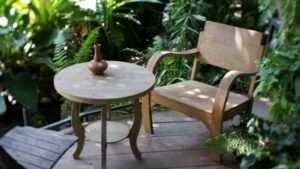 Backyard Trends: What’s Cookin’ in 2022