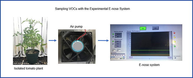 ARS enose system E-Nose