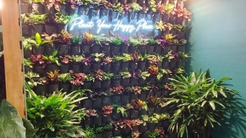 Puppies, People, and Plants Hallmark the 2022 Tropical Plant International Expo (TPIE)