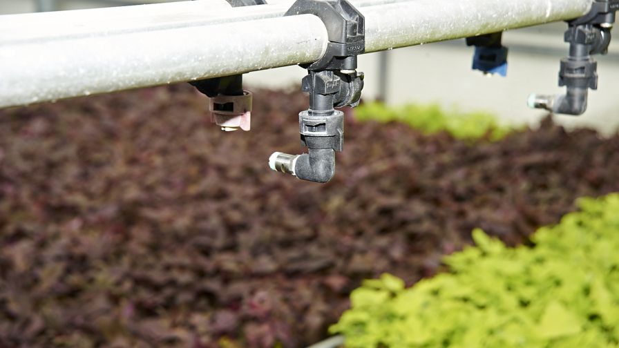 OMAFRA Water Sampling Near Plants