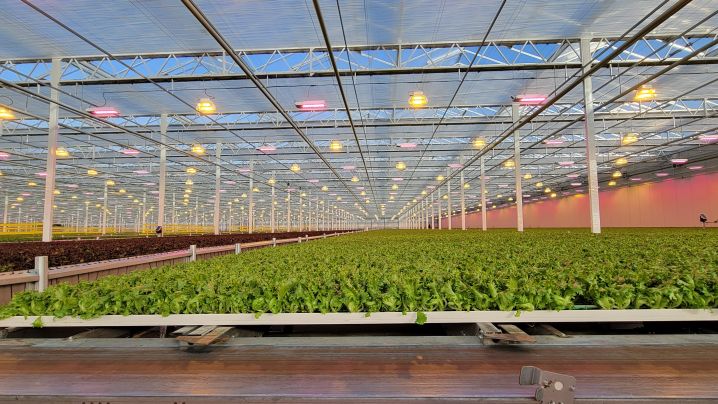 Pure Green Farms, iUNU