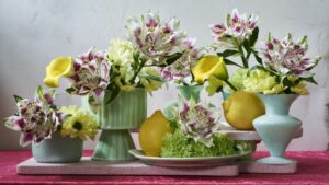 International Cut Flower and Potted Plant Breeder Joins ThinkPlants Network