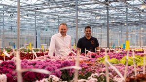 Dümmen Orange Moves Mum Breeding Facilities, Adds Retail Project Manager