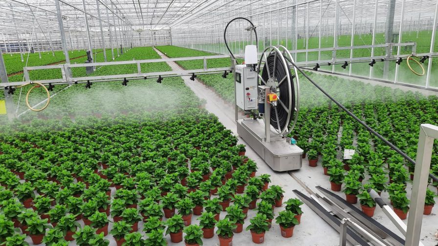 Flamingo Sprayer
