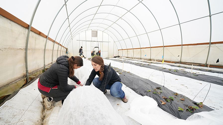 High Tunnels Research at Purdue