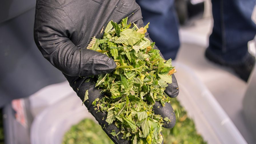 Mobius trim Good Manufacturing Practices
