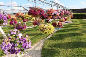 Costa Farms Season Premiere Highlights Importance of Consumer Education