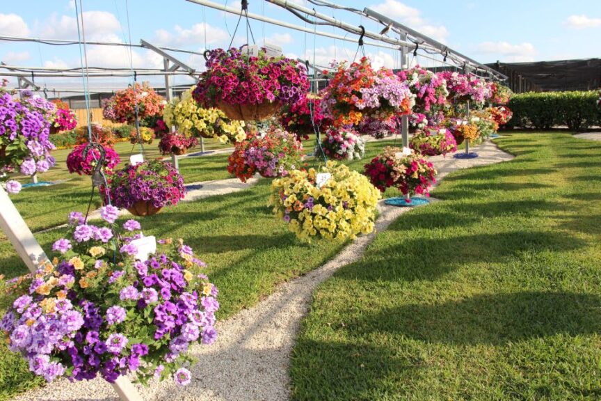 Costa Farms Season Premiere Highlights Importance of Consumer Education