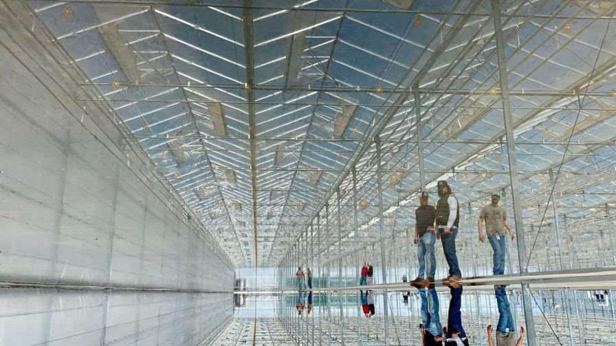 Glass House Brands Expansion