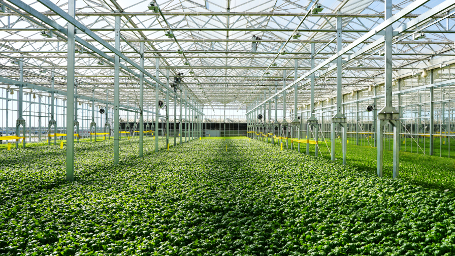 Gotham Greens Davis Interior