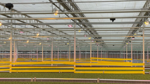 Digitals Twins and the Path Toward Greenhouse Autonomy