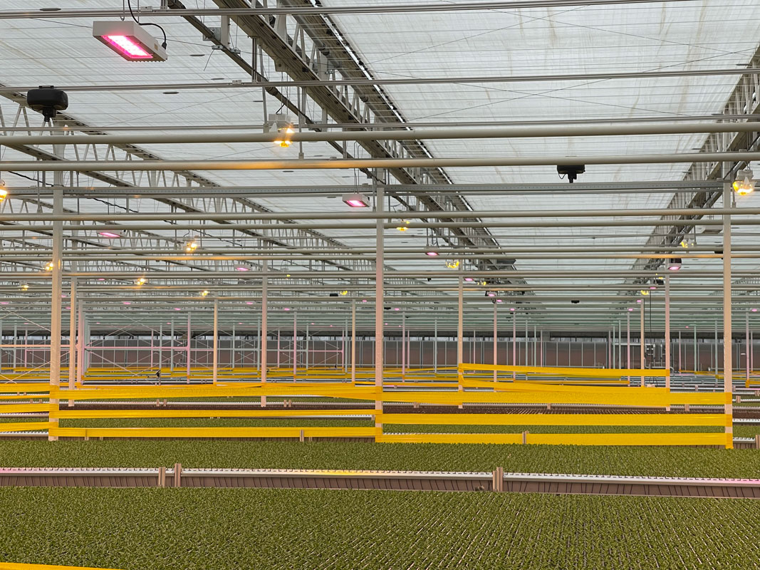 IUNU-Computer-Vision-AI-Autonomous-Growing