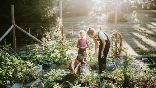 Gardening Trend May Wain After Pandemic, But Not for Everyone