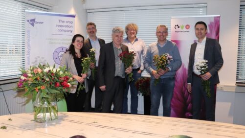 Royal Van Zanten Partners With Plant Research Company on R&D