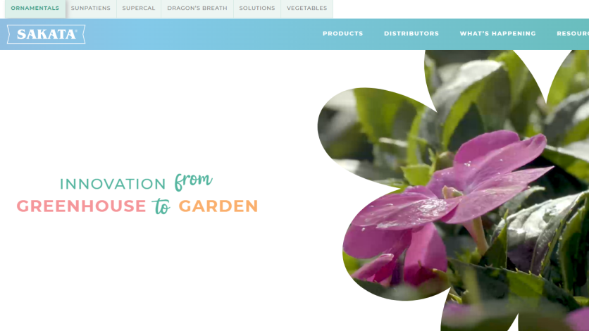 Sakata New Site