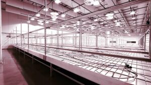 CEA Architecture and Engineering Company Adds Construction Expertise