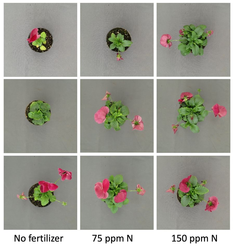 Web article Biostim Comparison