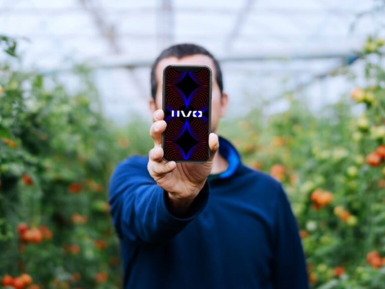Hoogendoorn IIVO