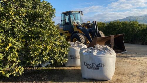 Supply Chain Issues Require Creative Plant Health Solutions