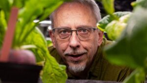 An Insider’s Look at the Long-Term Growth Potential of Controlled-Environment Agriculture