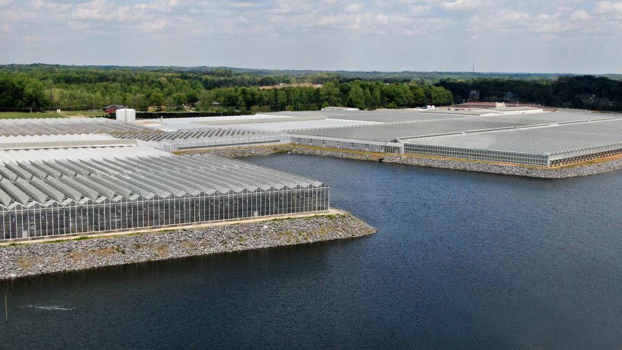 Metrolina Greenhouses RETENTION POND
