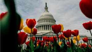 A First-Time Congressional Action Days Attendee Shares His Insights