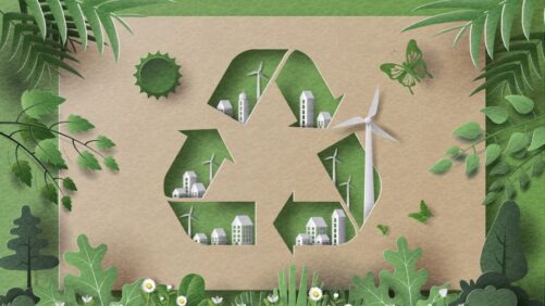 How Trulieve’s Cannabis Packaging Recycling Program Is a Model for the Industry