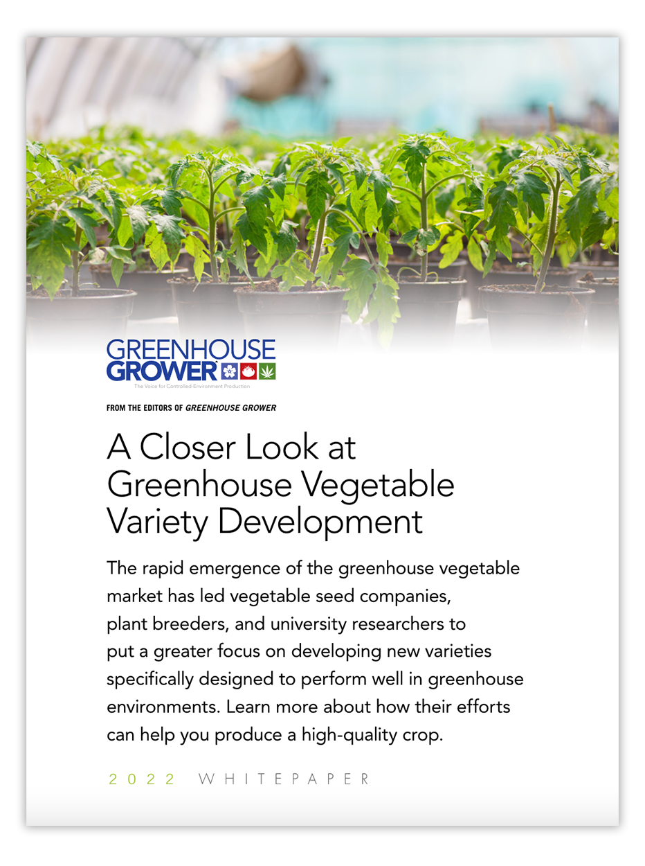 A-Closer-Look-at-Greenhouse-Vegetable-Variety-Development Greenhouse Vegetable