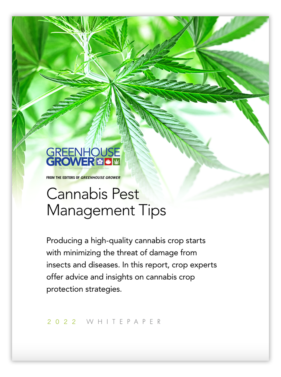 Cannabis-Pest-Management-Tips