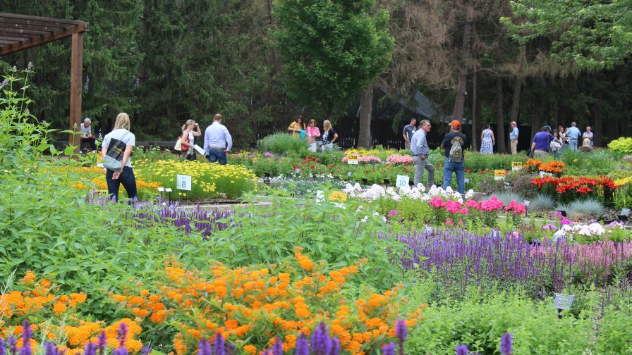 Darwin Perennials Day Gardens