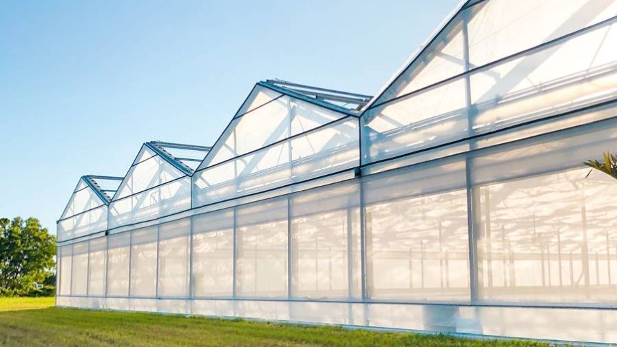 Green Life Farms