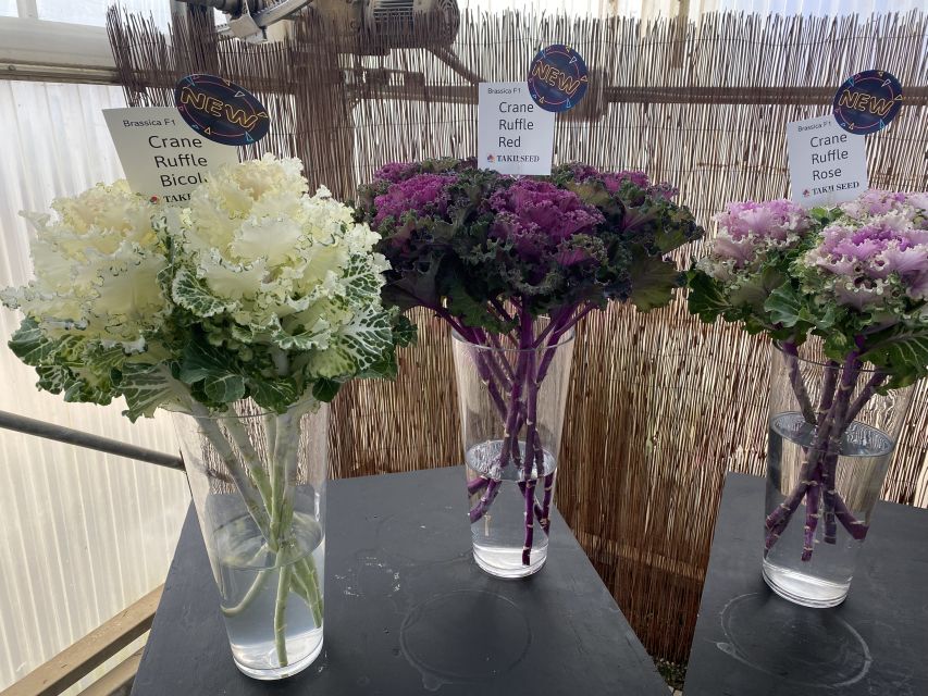 Kale, cut flower growers, Takii, CAST 2022
