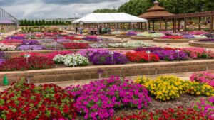 Metrolina Greenhouses Trial Gardens Open House Set for June 9