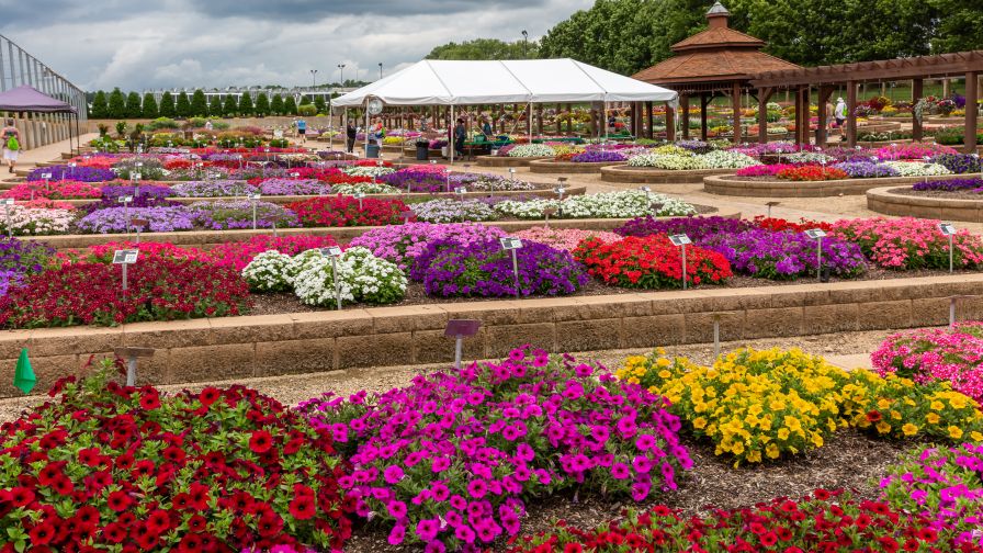 Metrolina Greenhouses Trial Gardens Open House 2021