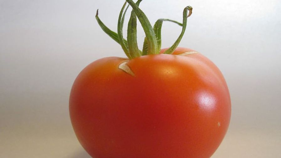 Vineland Horticulture Waste Program