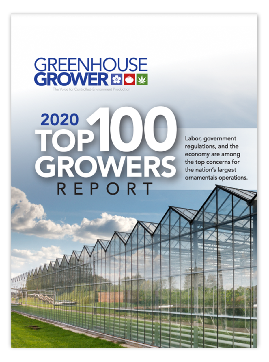 top100cover Top 100 Report