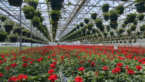 How to Educate Your Customers, Your Team, and Yourself on Biosolutions