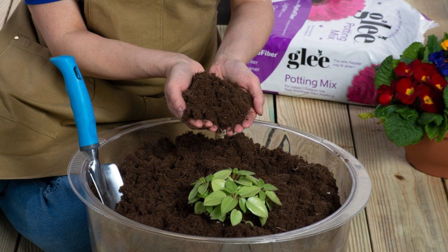 Glee Potting Mix
